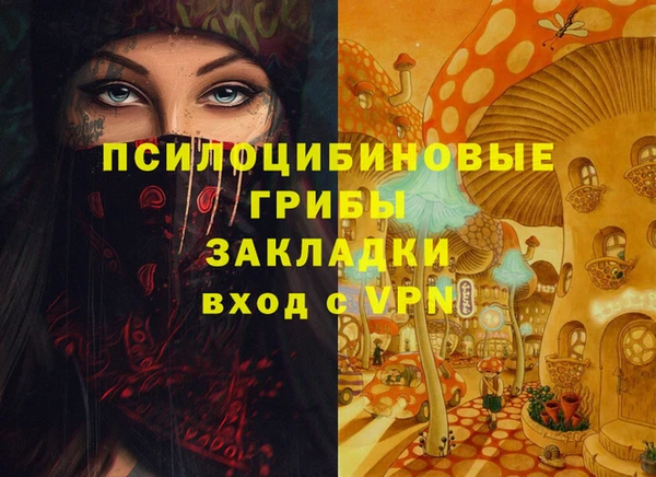 COCAINE Белокуриха